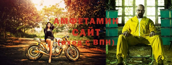 spice Богородск