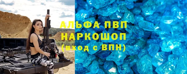 spice Богородск