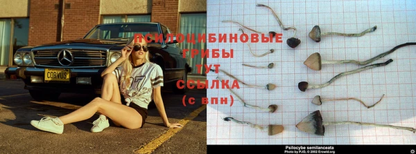 прущая мука Богданович